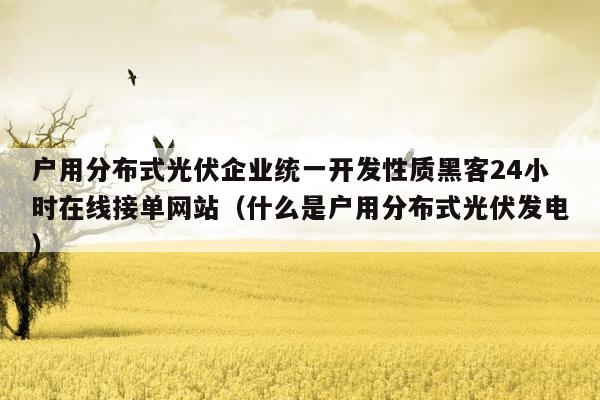 户用分布式光伏企业统一开发性质黑客24小时在线接单网站（什么是户用分布式光伏发电）