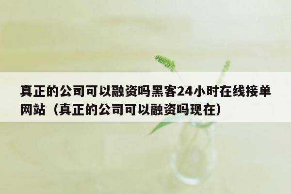 真正的公司可以融资吗黑客24小时在线接单网站（真正的公司可以融资吗现在）