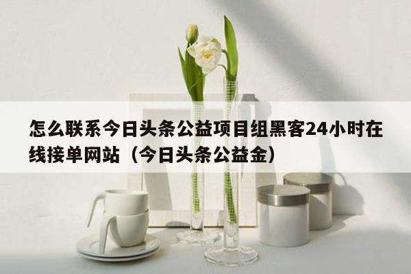 怎么联系今日头条公益项目组黑客24小时在线接单网站（今日头条公益金）