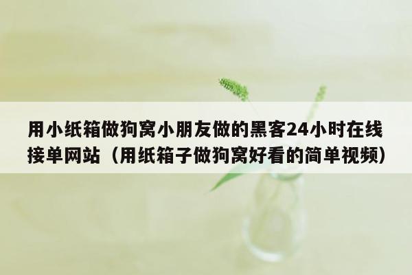 用小纸箱做狗窝小朋友做的黑客24小时在线接单网站（用纸箱子做狗窝好看的简单视频）