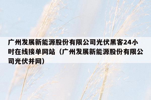 广州发展新能源股份有限公司光伏黑客24小时在线接单网站（广州发展新能源股份有限公司光伏并网）