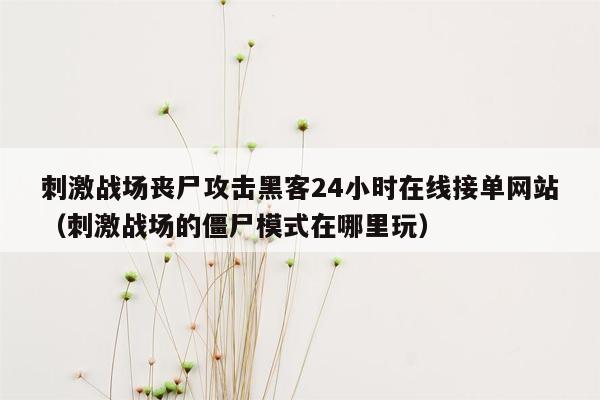 刺激战场丧尸攻击黑客24小时在线接单网站（刺激战场的僵尸模式在哪里玩）