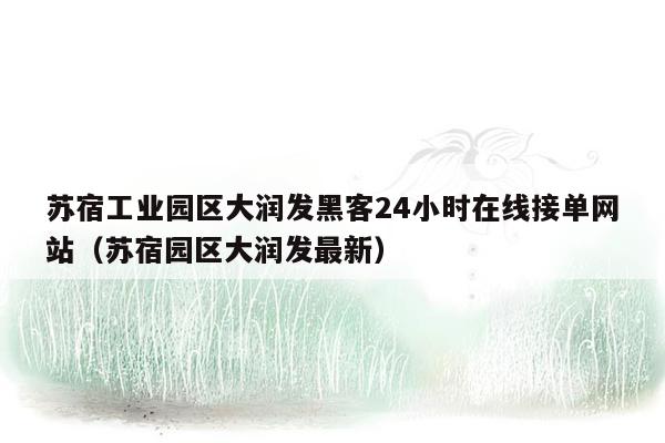 苏宿工业园区大润发黑客24小时在线接单网站（苏宿园区大润发最新）