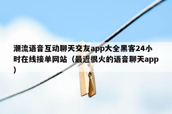 潮流语音互动聊天交友app大全黑客24小时在线接单网站（最近很火的语音聊天app）