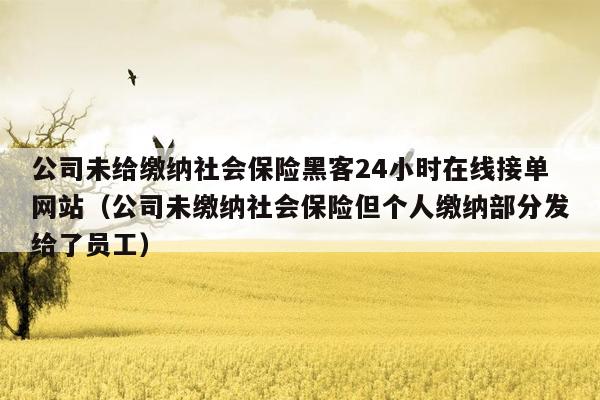 公司未给缴纳社会保险黑客24小时在线接单网站（公司未缴纳社会保险但个人缴纳部分发给了员工）