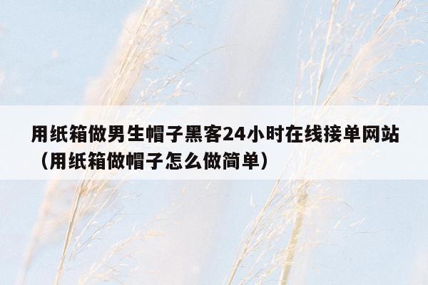 用纸箱做男生帽子黑客24小时在线接单网站（用纸箱做帽子怎么做简单）