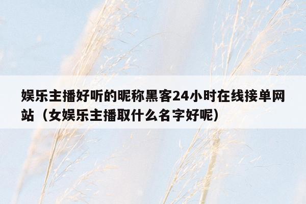 娱乐主播好听的昵称黑客24小时在线接单网站（女娱乐主播取什么名字好呢）